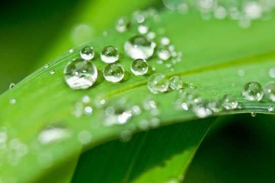 drip-339940_1920