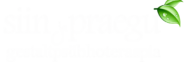 Siin-ja-praegu logo VALGE